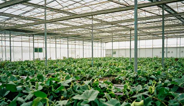 市场调研的两种使用与维护做法比较及其适用条件